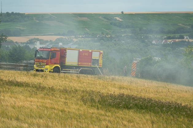 Rheinland-Pfalz, Flächenbrand zwischen Großwinternheim und Schwabenheim