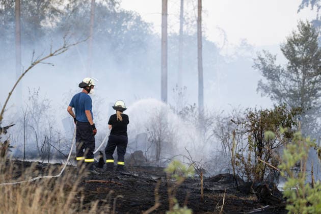 Hessen, Kampf gegen Waldbrand in Weilrod