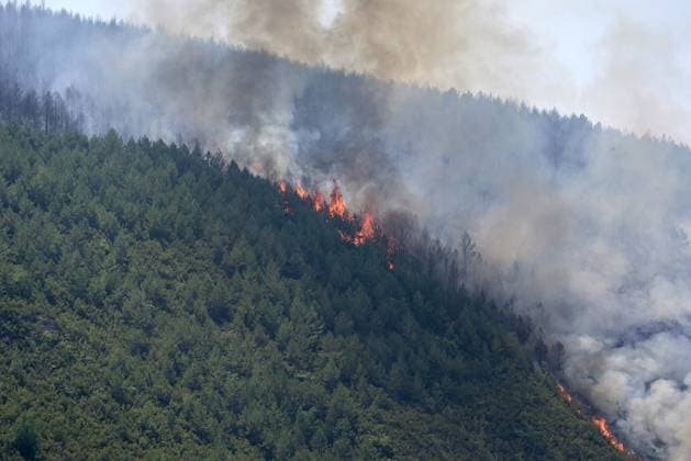 Spanien, Waldbrände in Kastilien und Leon
