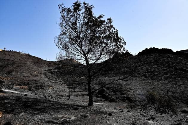 Spanien, Waldbrände in der Provinz Almeria in Andalusien
