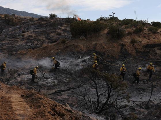 USA, Waldbrände in Kalifornien