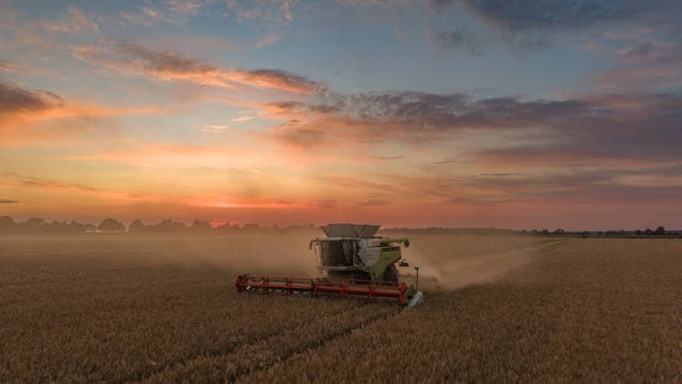 Mecklenburg-Vorpommern, Roggen-Ernte bei Pasewalk