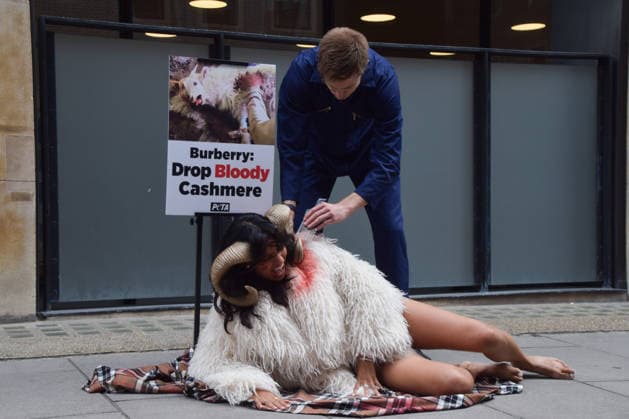 Großbritannien, PETA Protest in London