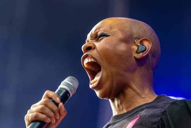 Musik, Festival Colours of Ostrava, Skunk Anansie