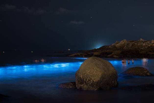 Spanien, Leuchtendes Meer Mar de Ardora in Galizien