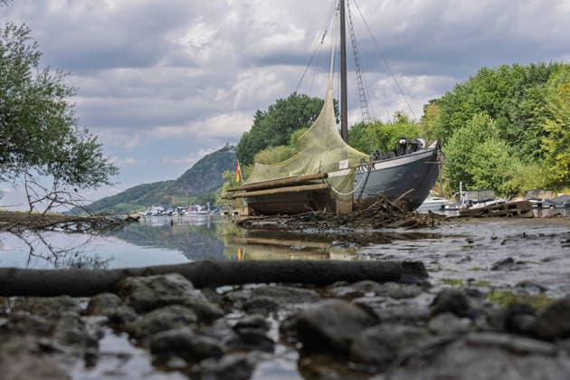 NRW, Rhein führt Niedrigwasser in Bad Honnef
