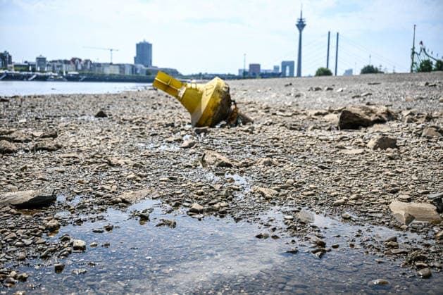 NRW, Dürre und Niedrigwasser am Rhein in Düsseldorf