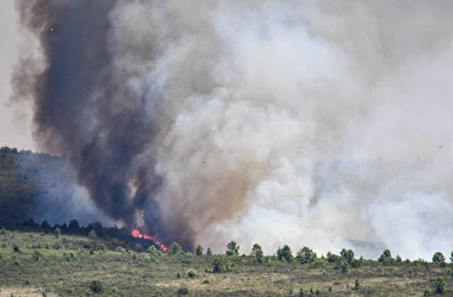 Spanien, Waldbrand bei La Mierla in Guadalajara