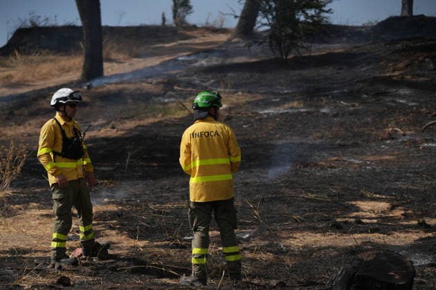 Spanien, Waldbrand bei Camas in Sevilla