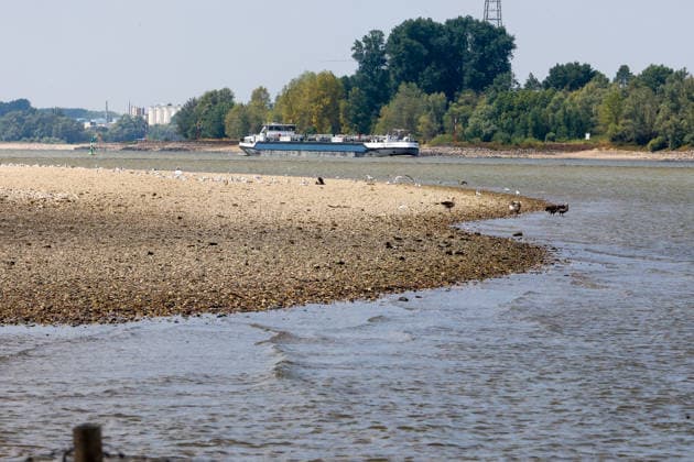 NRW, Dürre und Niedrigwasser am Rhein in Emmerich