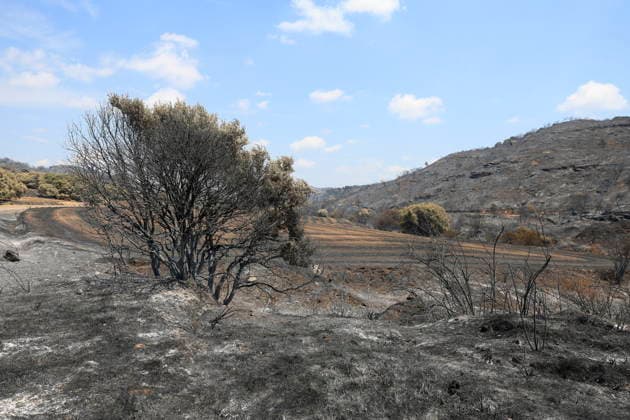 Spanien, Schäden durch Waldbrände bei Saragossa