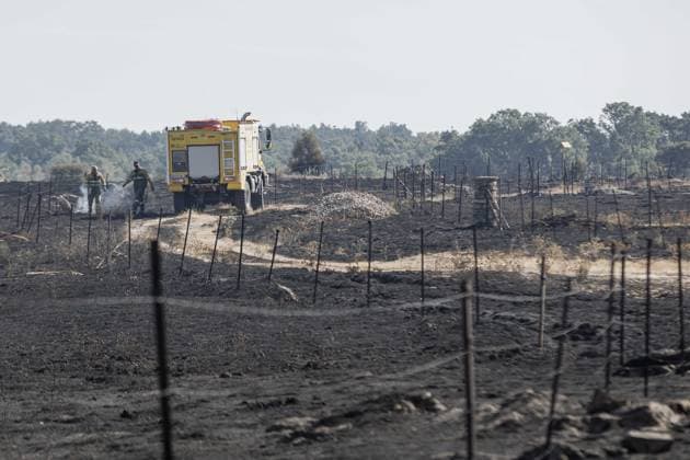 Spanien, Waldbrand bei Segovia, Kastilien und Leon