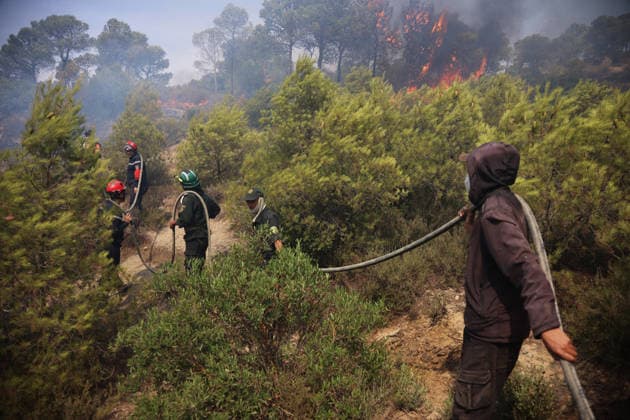 Algerien, Waldbrand bei Bouira
