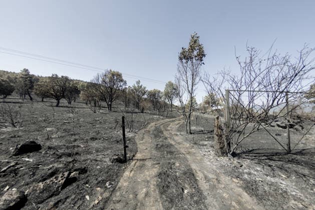 Spanien, Waldbrand bei Lozoyuela, Madrid