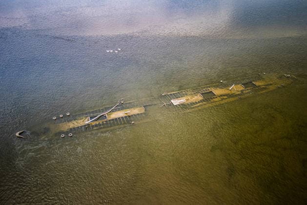 Kroatien, Niedrigwasser der Donau