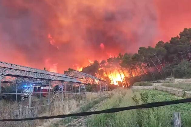 Frankreich, Waldbrände im Südosten des Landes