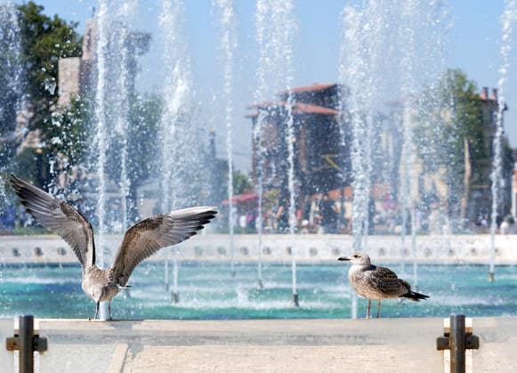 Türkei, Hitzewelle in Istanbul