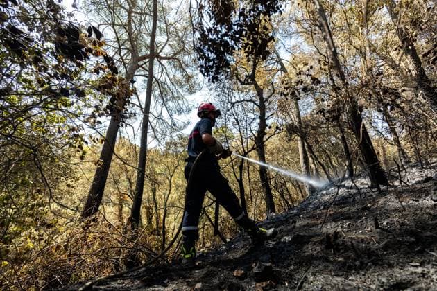 Frankreich, Waldbrände im Südosten des Landes