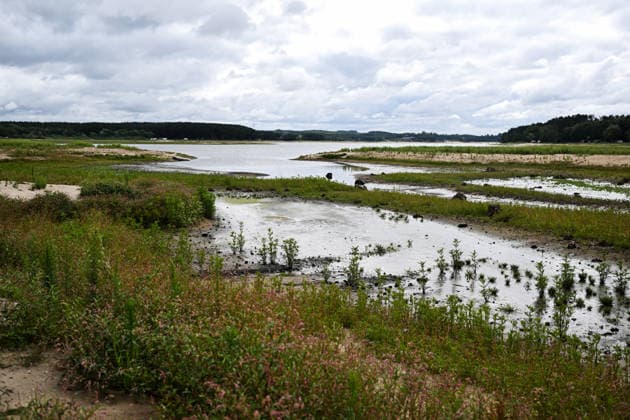 Polen, Dürre senkt Wasserstand im Chancza-Stausee
