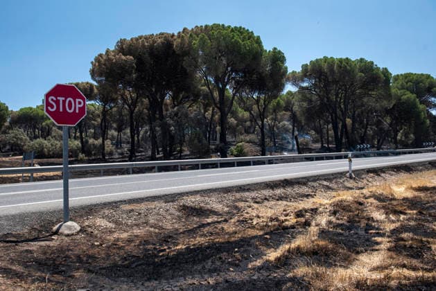 Spanien, Schäden nach Waldbrand in Avila