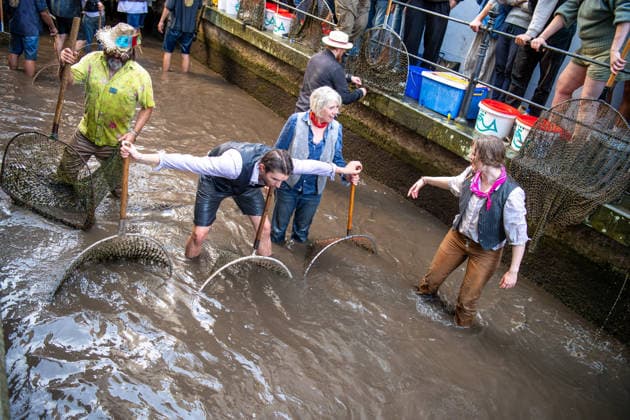 Bayern, Fischertag in Memmingen