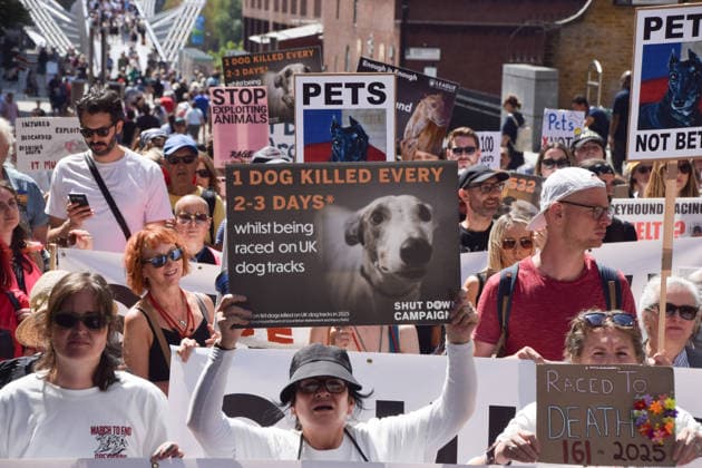 England, Demontration für das Verbot von Hunderennen in London