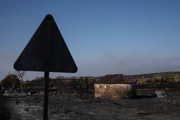 Spanien, Schäden durch Waldbrände in der Region Madrid
