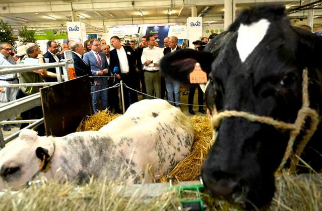 Belgien, Landwirtschaftsmesse in Libramont