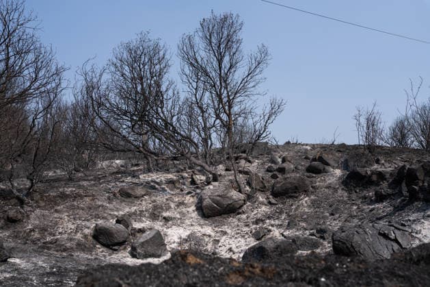 Spanien, Schäden durch Waldbrände in der Region Madrid