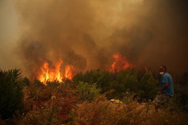 Türkei, Waldbrände im Distrikt Mugla
