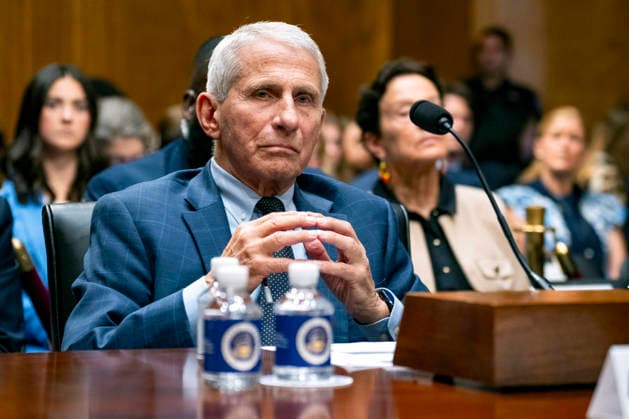 USA, Dr. Anthony Fauci während einer Anhörung des Senatsausschusses für Innere Sicherheit und Regierungsangelegenheiten in Washington