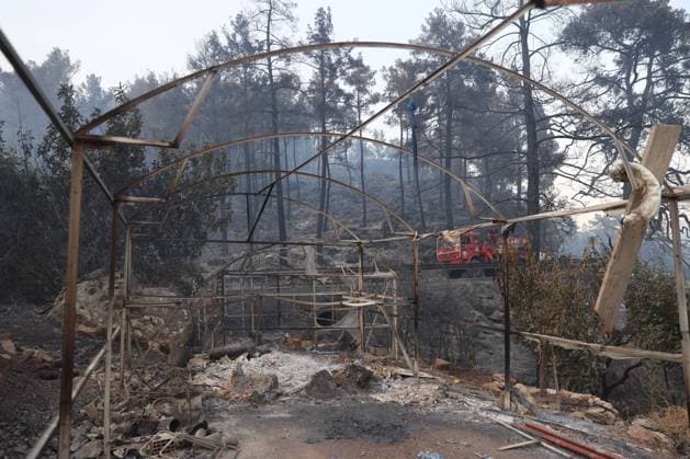 Türkei, Waldbrand bei Antalya