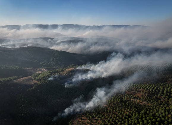 Türkei, Waldbrände in Balikesir