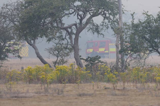 Großbritannien, Waldbrände in Dunwich Heath