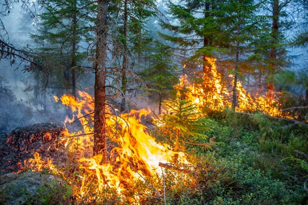 Schweden, Waldbrand in Skinnskatteberg