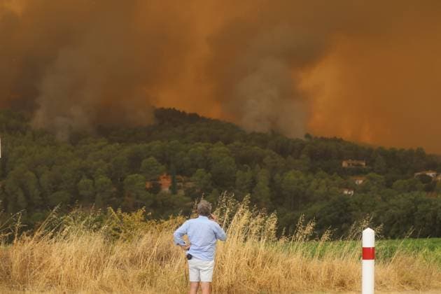 Frankreich, Waldbrände im Departement Var