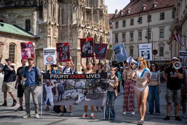 Österreich, Tierschutz-Aktivisten demonstrieren in Wien