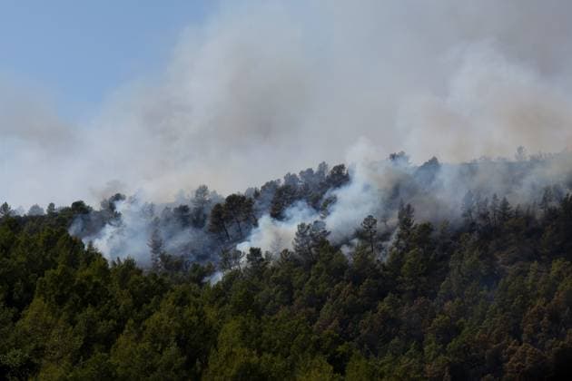 Frankreich, Waldbrände im Departement Var