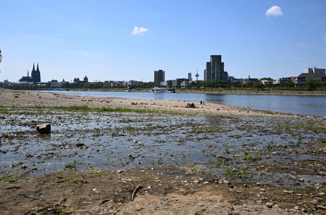 NRW, Rhein-Niedrigwasser in Köln