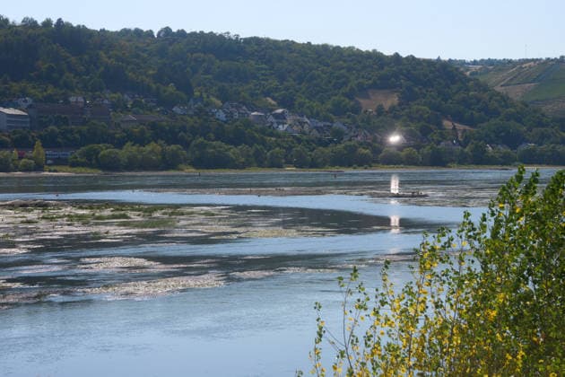 Hessen, Rhein-Niedrigwasser in Lorch am Rhein