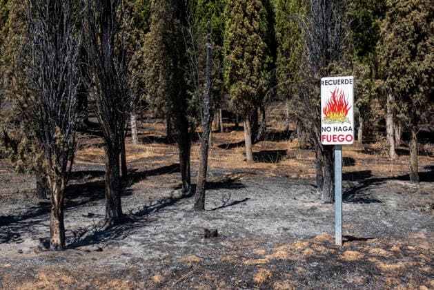 Spanien, Nach dem Waldbrand in der Sierra Oeste bei Madrid
