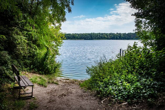 Berlin, Eindrücke vom Sommer aus Treptow-Köpenick