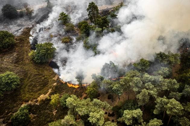 Niederlande, Flächenbrand im Naturschutzgebiet Rosmolen bei Oostrum