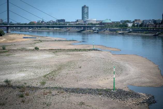 NRW, Rhein-Niedrigwasser in Düsseldorf