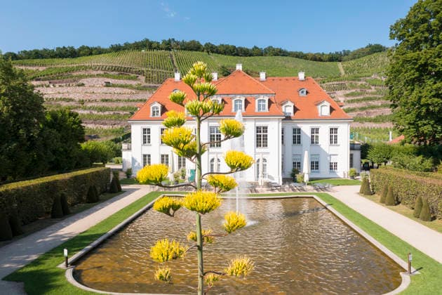 Sachsen, Agave von Schloss Wackerbarth blüht