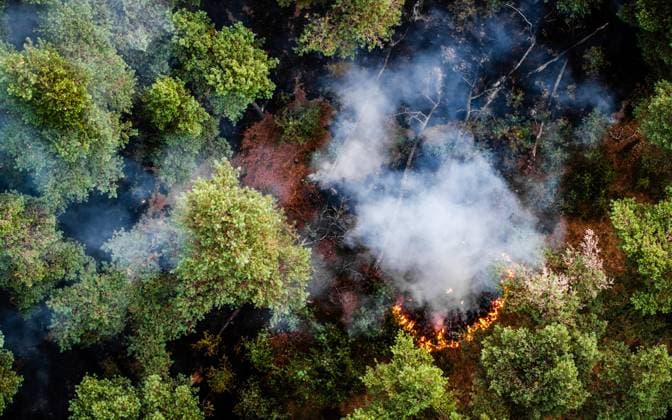 Niederlande, Waldbrand im Naturschutzgebiet Rosmolen bei Oostrum
