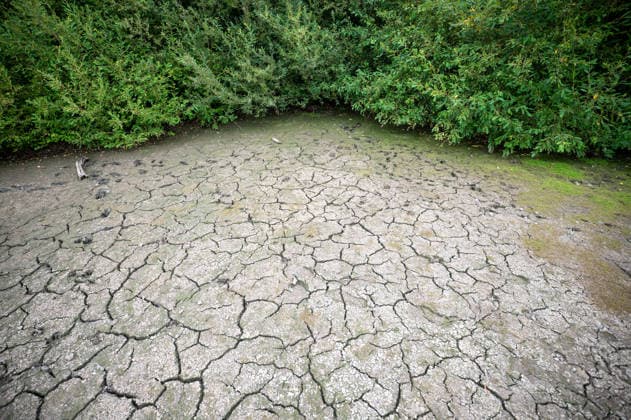 Großbritannien, anhaltende Trockenheit in Surrey
