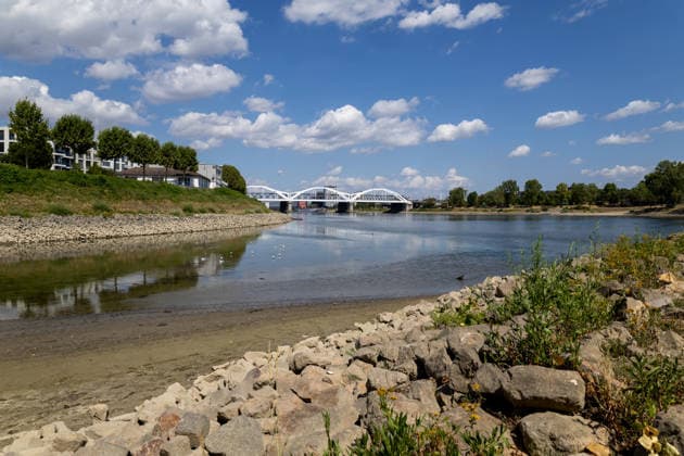 Rheinland-Pfalz, Rhein führt Niedrigwasser, Eindrücke aus Ludwigshafen