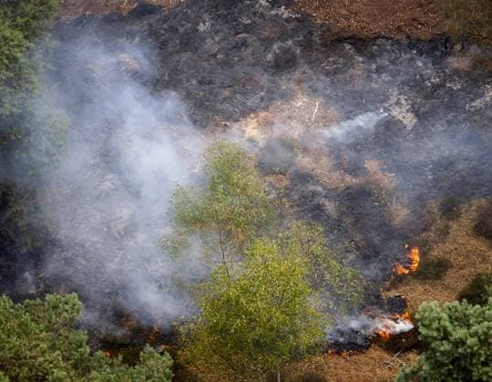 Niederlande, Waldbrand im Naturschutzgebiet Rosmolen bei Oostrum