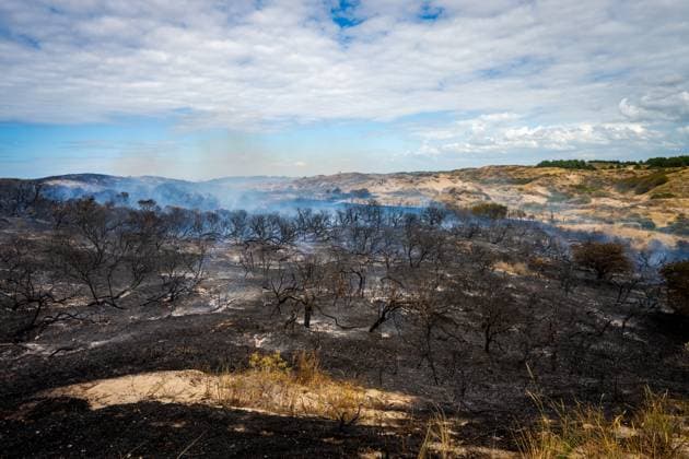 Niederlande, Waldbrand in Wassenaar